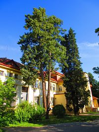 Hamzův park a arboretum (Luže-Košumberk)