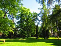 Hamzův park a arboretum (Luže-Košumberk)
