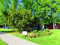 Hamzův park a arboretum (Luže-Košumberk)