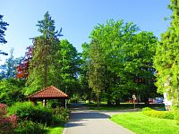 Hamzův park a arboretum (Luže-Košumberk)