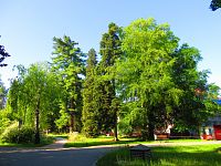 Hamzův park a arboretum (Luže-Košumberk)