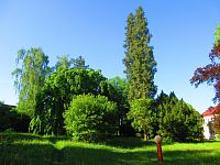 Hamzův park a arboretum (Luže-Košumberk)