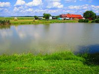 Rybník (Petrovice)