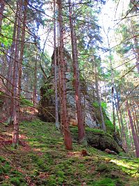 Hradčanské stěny (Ralsko)