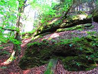 Hradčanské stěny (Ralsko)