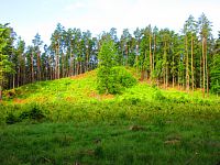 Liščí vrch v Borečku u Ralska