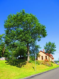 Křížovka (Třemošnice)
