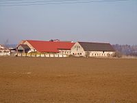 Janov (Mokrovousy)