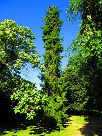 Zámecký park (Benátky nad Jizerou)