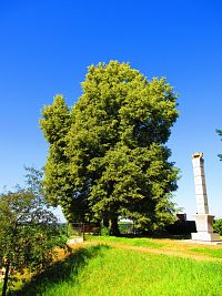 Zámecký park (Benátky nad Jizerou)