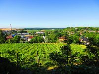 Zámecký park (Benátky nad Jizerou)