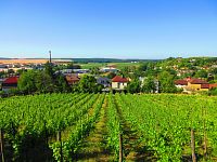 Zámecký park (Benátky nad Jizerou)