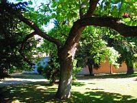 Zámecký park (Benátky nad Jizerou)