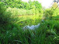 V Lukách (Hradec Králové)