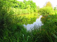 V Lukách (Hradec Králové)