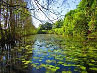 V Lukách (Hradec Králové)