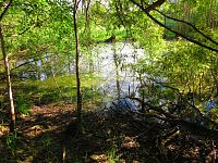 V Lukách (Hradec Králové)