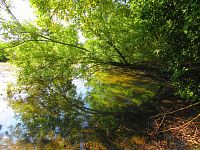 V Lukách (Hradec Králové)