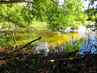 V Lukách (Hradec Králové)