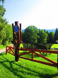 Dříš (Deštné v Orlických horách)