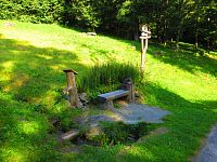 Dříš (Deštné v Orlických horách)