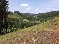 Údolí Běluňky (Chvalkovice)