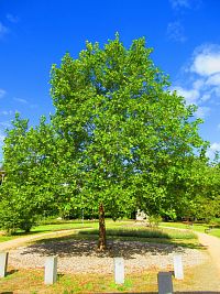 Park U Plzeňské brány v Rokycanech