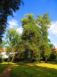 Park U Plzeňské brány (Rokycany)