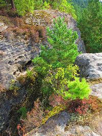 Borecké skály (Hnanice a Štěpánovice pod Troskami)