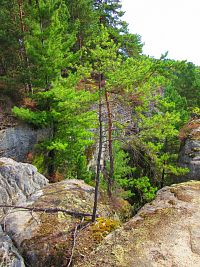 Borecké skály (Hnanice a Štěpánovice pod Troskami)