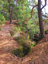 Borecké skály (Hnanice a Štěpánovice pod Troskami)