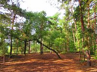 Borecké skály (Hnanice a Štěpánovice pod Troskami)