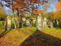 Židovský hřbitov (Mořina)