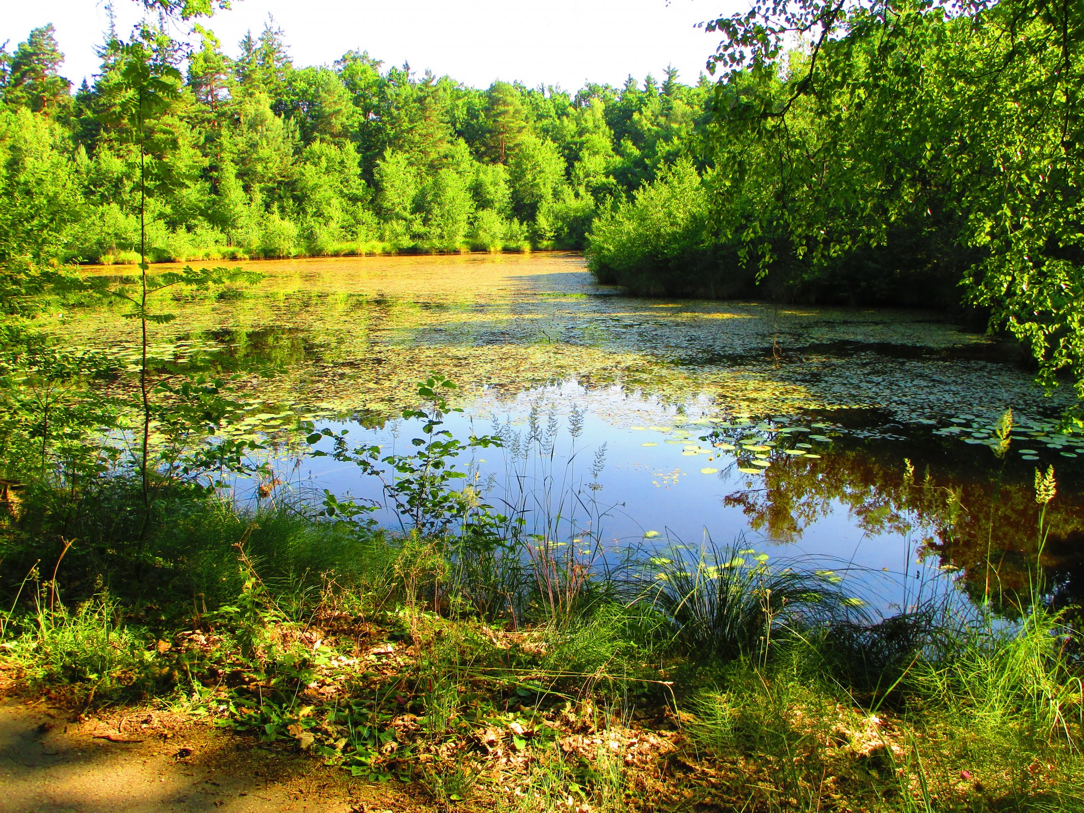 Malá, Prostřední a Velká Houkvice