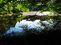 Rybník Malá Houkvice (Týniště nad Orlicí)