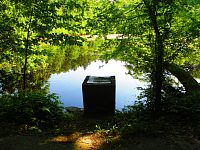 Rybník Malá Houkvice (Týniště nad Orlicí)