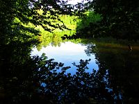 Rybník Prostřední Houkvice (Týniště nad Orlicí)