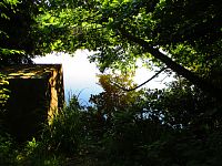 Rybník Velká Houkvice (Týniště nad Orlicí)