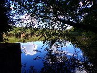 Rybník Velká Houkvice (Týniště nad Orlicí)