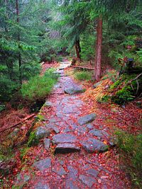 Chodník u Pudlavy (Bedřichov v Krkonoších)