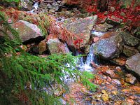 Pudlava (Bedřichov v Krkonoších)