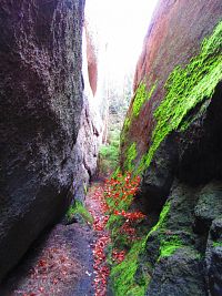 Vyhlídka Finkstein (Smržovka)