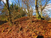 Stráně pod Královskou Výšinou (Hrob)