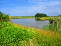 Libníkovický potok