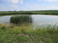 Na Bělkách (Horní Černilov)