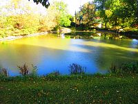 Obecní rybník (Libníkovice)