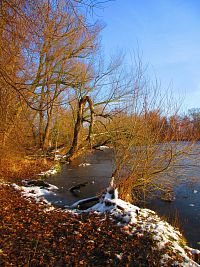 Staré Labe u Třebše (Hradec Králové)