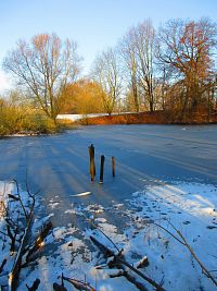Staré Labe u Třebše (Hradec Králové)