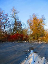 Staré Labe u Třebše (Hradec Králové)