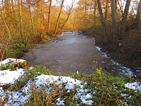 Staré Labe u Třebše (Hradec Králové)
